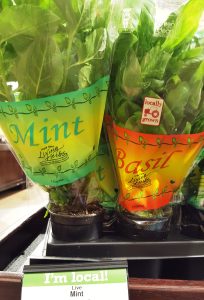 mint and basil local