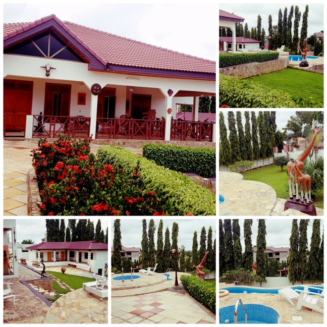 dawn-picmonkey-collage-2